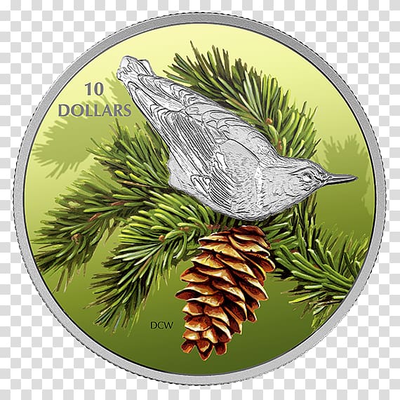 Bird Silver coin Silver coin Nuthatch, bird transparent background PNG clipart