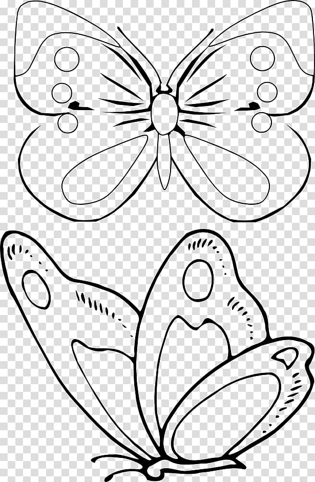 Coloring book Drawing Document Information, butterfly transparent background PNG clipart