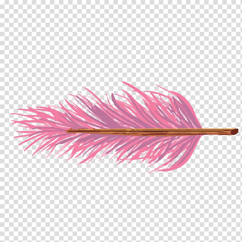 bohemian style feathers transparent background PNG clipart