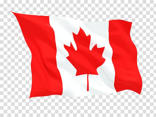 Flag of Canada Maple leaf O Canada, Study In Canada transparent background PNG clipart