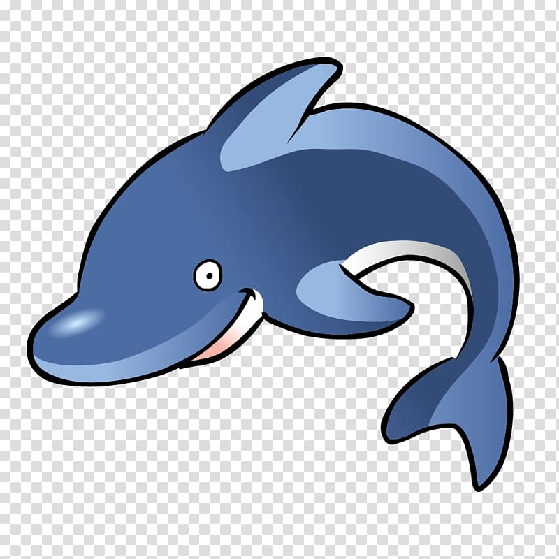 Spinner dolphin Free content , blue whale transparent background PNG clipart