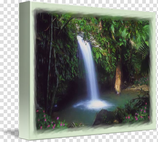 El Yunque National Forest Waterfall Water resources Rainforest Nature reserve, rain forest transparent background PNG clipart