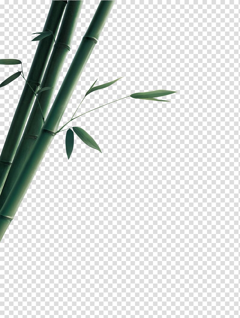 green bamboo tree , Bamboo Bamboe Gratis Euclidean , bamboo transparent background PNG clipart