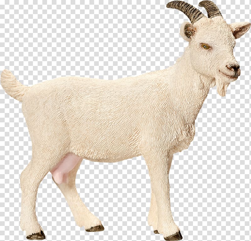 Nigerian Dwarf goat Sheep Schleich Toy Amazon.com, Tw transparent background PNG clipart