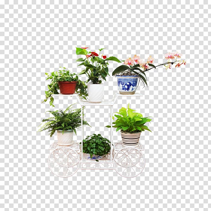 Floral design , Plants floral decorations transparent background PNG clipart