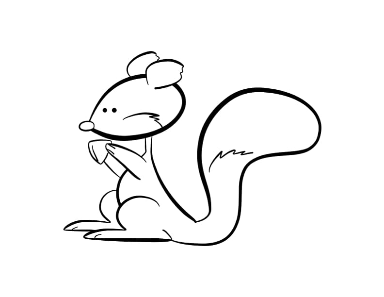 Squirrel Chipmunk Giant panda , Flying Squirrel Coloring Page transparent background PNG clipart