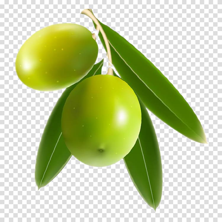 Mango Benishan Olive , mango transparent background PNG clipart