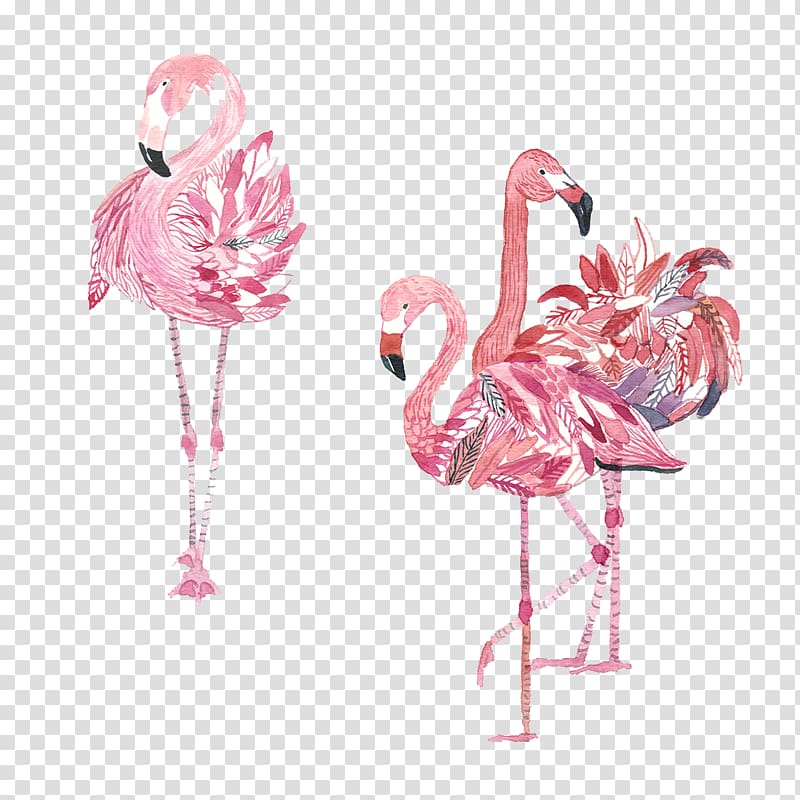 painted red-crowned crane transparent background PNG clipart