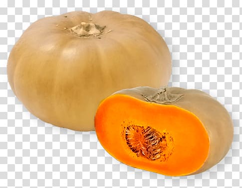 squash illustration, Squash transparent background PNG clipart