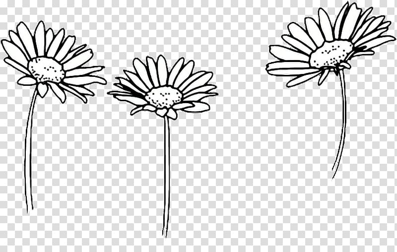 Daisy Flower Clipart, Daisy Doodle Clipart