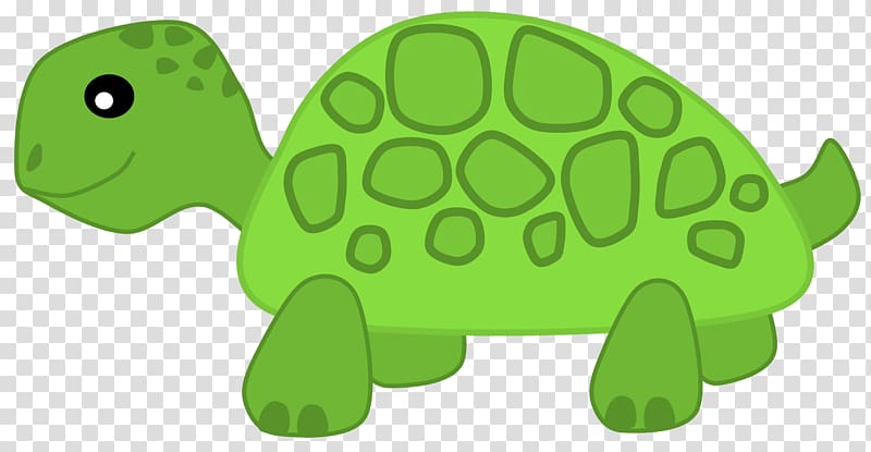 Turtle Herbivore , Cute Turtle transparent background PNG clipart