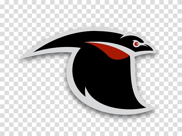 Logo Common blackbird Fat Freddy\'s Drop Baltimore Blackbirds, transparent background PNG clipart
