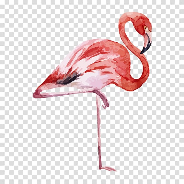 Paper Textile Flamingo Printing, flamingo transparent background PNG clipart
