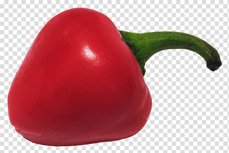 Chili pepper Bell pepper Paprika Pimiento Peperoncino, Chili Pepper transparent background PNG clipart