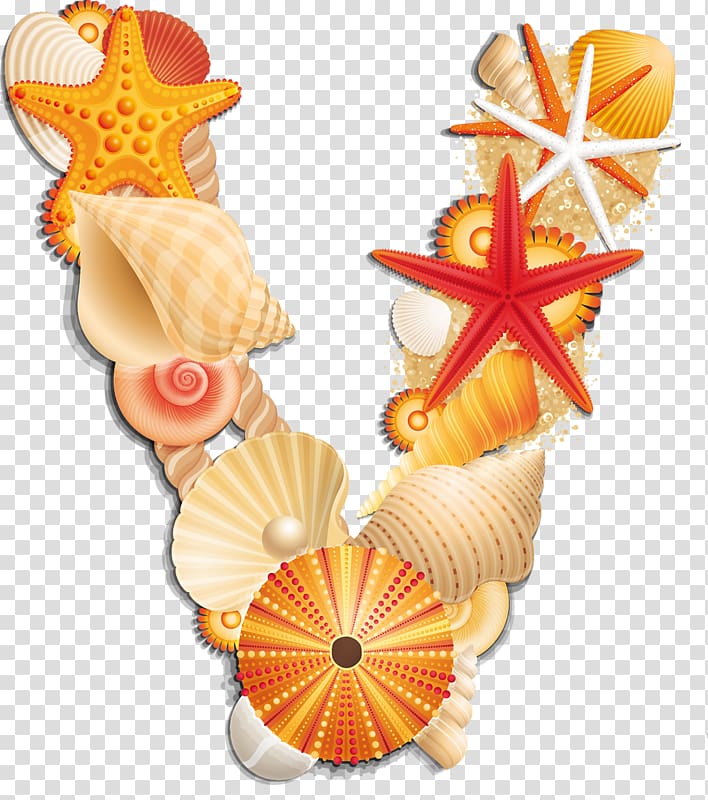 Seashell Sea urchin Letter Alphabet, seashell transparent background PNG clipart