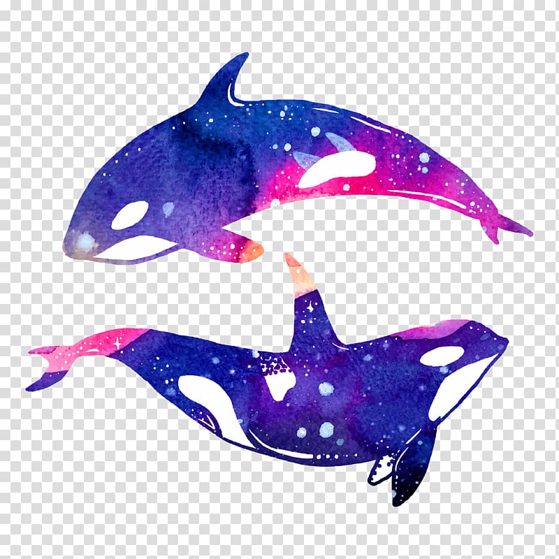 Dolphin Sperm whale Killer whale Illustration, Chinese ink whale transparent background PNG clipart