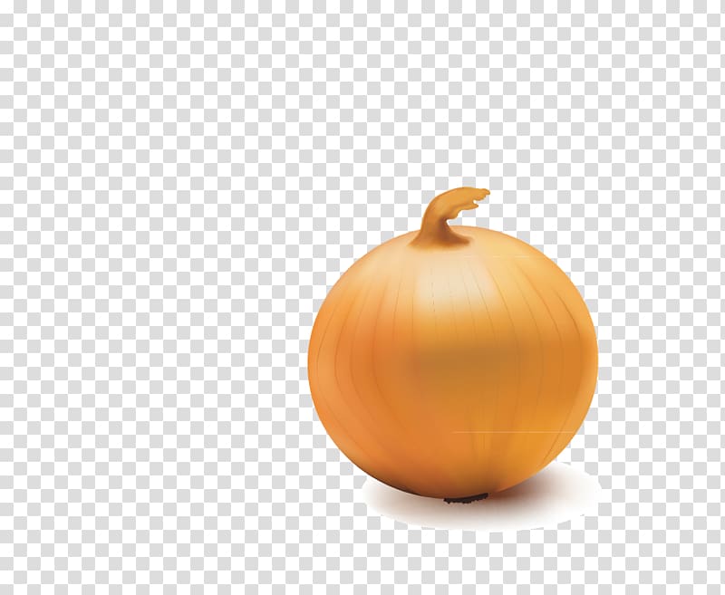 Pumpkin Calabaza Winter squash Orange Cucurbita, onion transparent background PNG clipart