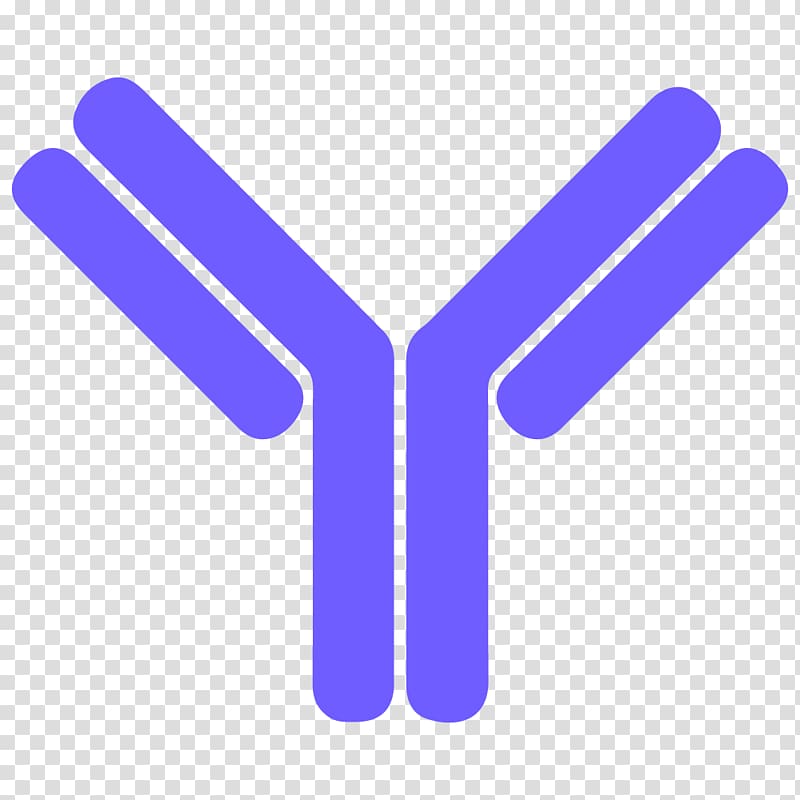 Antibody Letter B cell , others transparent background PNG clipart