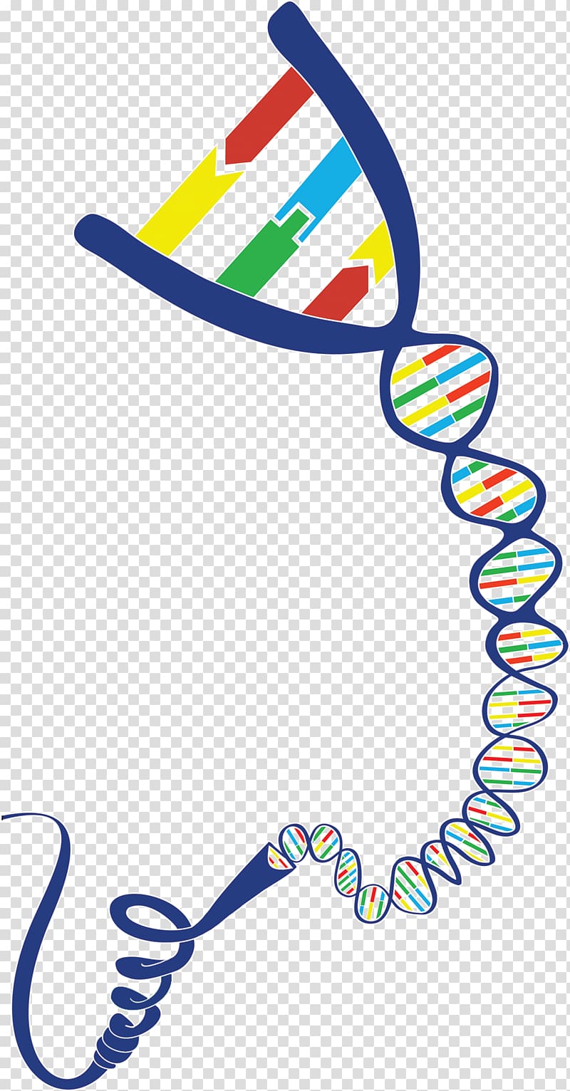 DNA Geneious Gene-Ius , Dna Day transparent background PNG clipart