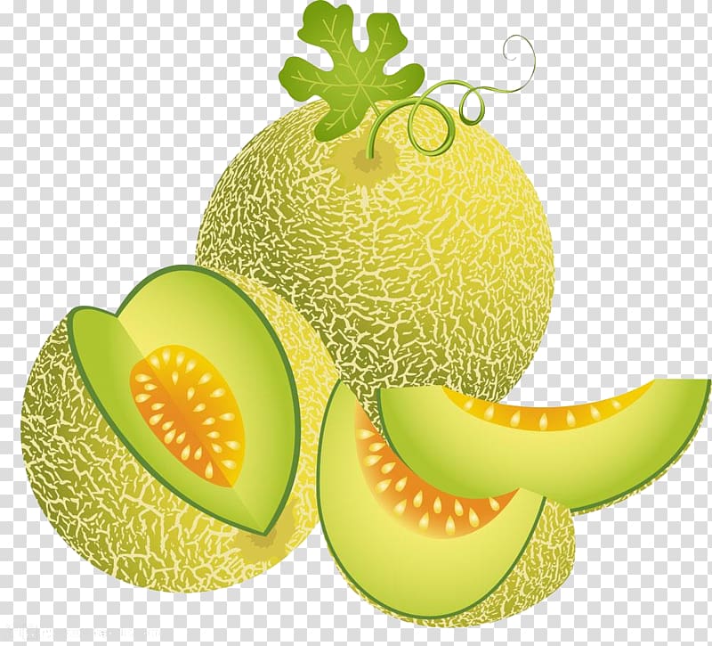 Juice Cantaloupe Melon Honeydew, Melon and leaves transparent background PNG clipart