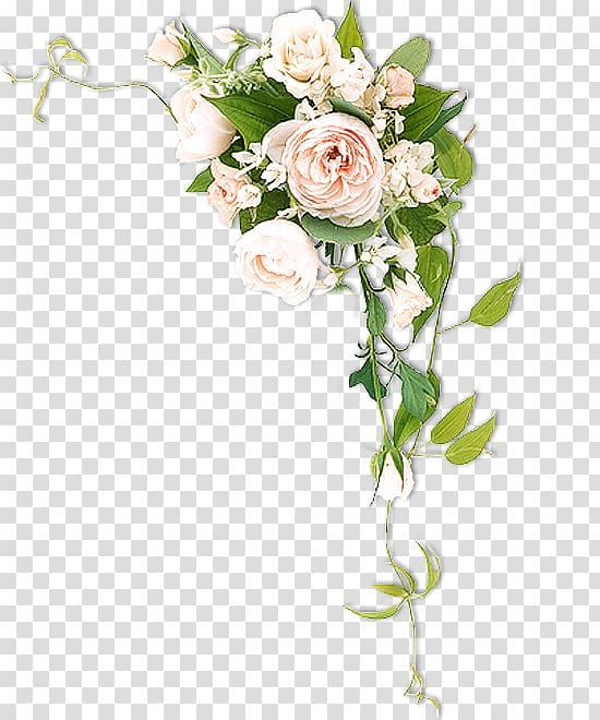 Cut flowers Rose, peonies transparent background PNG clipart