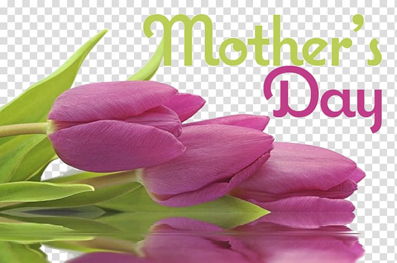 Mother\'s Day Massage Brunch Gift, mother\'s day transparent background PNG clipart
