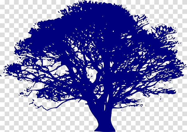 Quercus suber English oak Quercus lobata Tree , Blue Family transparent background PNG clipart