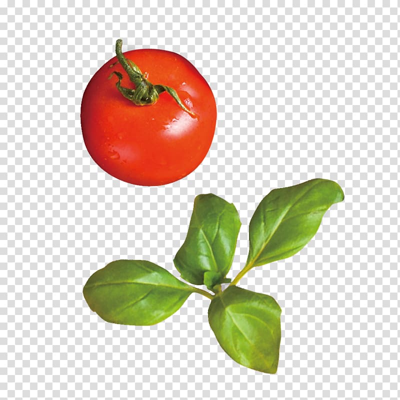 Tomato Red Rouge tomate, Red tomatoes transparent background PNG clipart