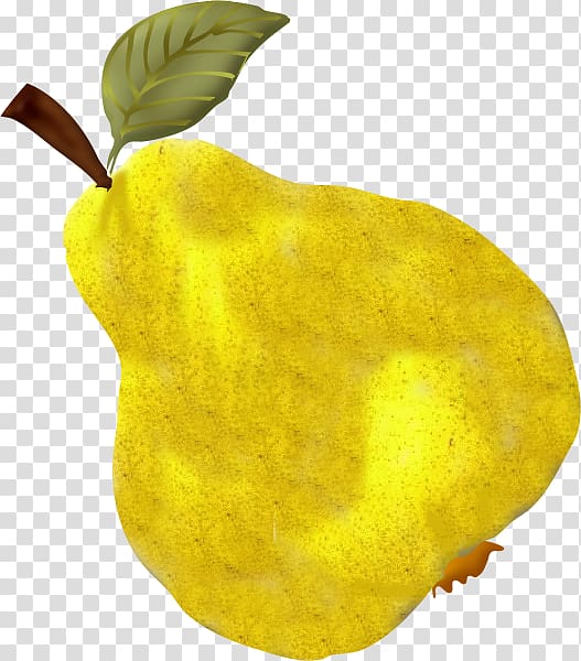 Pear Fruits et légumes Vegetable, pear transparent background PNG clipart