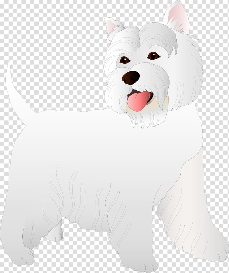 West Highland White Terrier Dog breed Puppy Companion dog, Dog transparent background PNG clipart