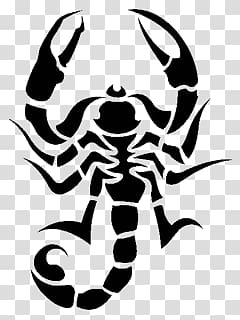 Scorpions transparent background PNG clipart