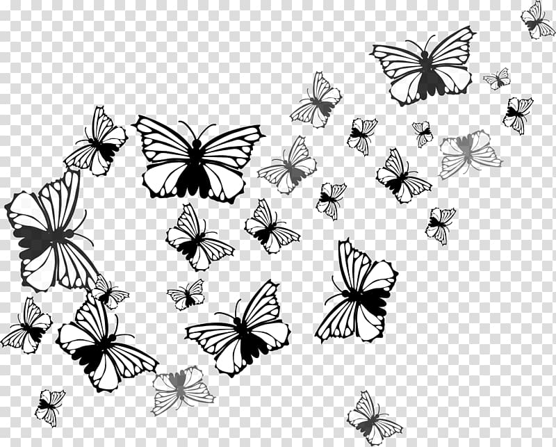 Butterfly Nymphalidae Insect Euclidean , Butterfly transparent background PNG clipart
