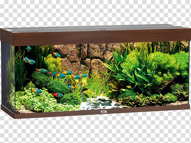 Aquariums JUWEL Rio 240 LED Fishkeeping Aquarium Filters, fish transparent background PNG clipart
