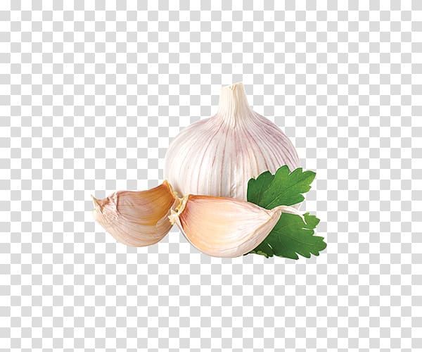 Garlic Spice Herb Food Mincing, Onions and onion small flap transparent background PNG clipart