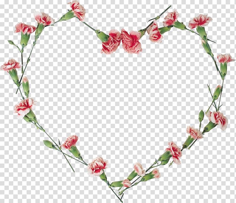 Floral design Flower , carnations transparent background PNG clipart