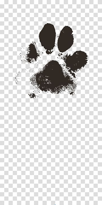 Paw Cat Puppy Printing Footprint, Cat transparent background PNG clipart