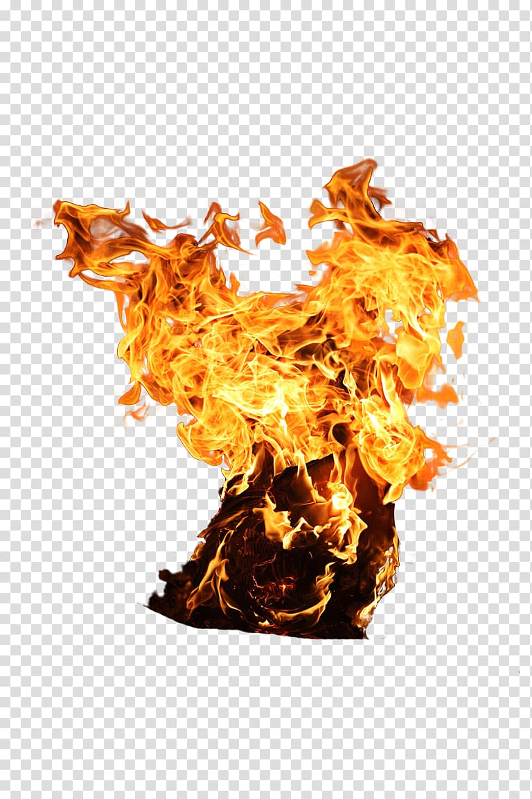 red flame illustration, Wildfire Tree Combustion, Explosion transparent background PNG clipart