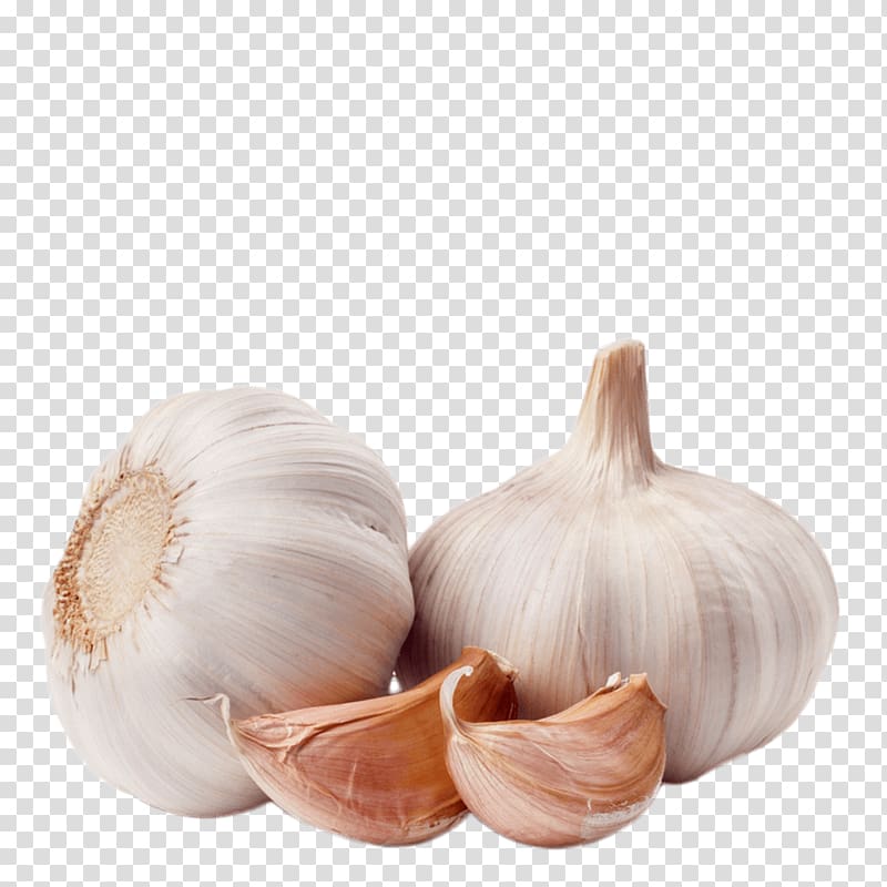whole garlic and clove, Garlic Duo transparent background PNG clipart