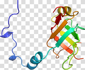 Line Point Organism , line transparent background PNG clipart thumbnail