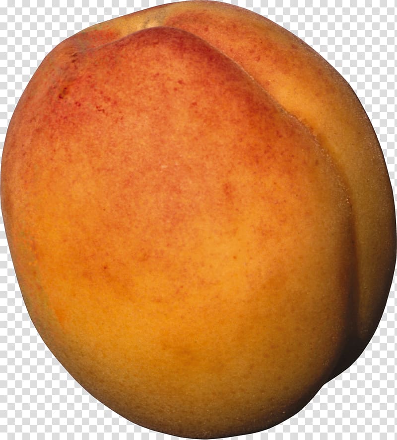Peach Lunch Rosaceae The Wider Sky, So Far From Land Solar Phenomena, Peach transparent background PNG clipart