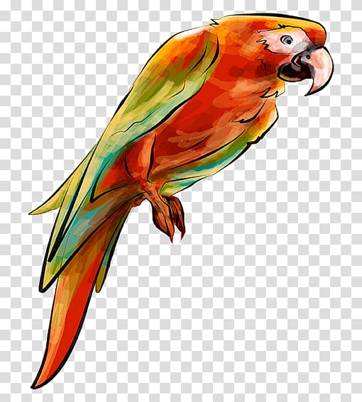 Parrot Bird Parakeet, Hand-painted parrot transparent background PNG clipart
