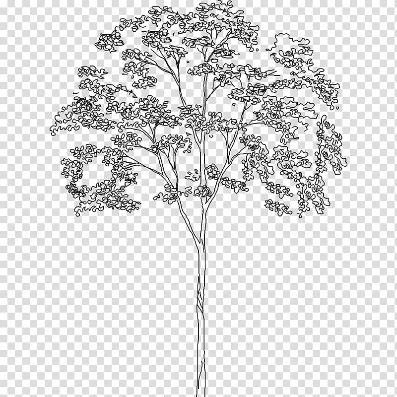 Architectural drawing Landscape architecture Sketch, TREE 3D transparent background PNG clipart