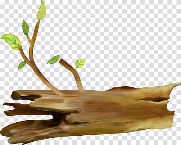 Tree stump Trunk Coarse woody debris Drawing, tree transparent background PNG clipart