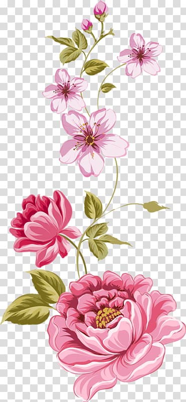 Flower transparent background PNG cliparts free download