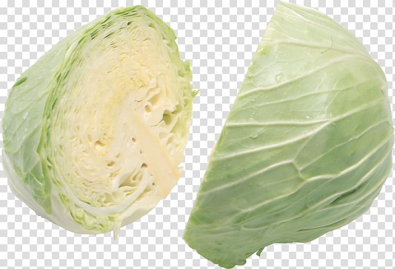 Cauliflower Red cabbage Egg roll Broccoli, Cabbage transparent background PNG clipart