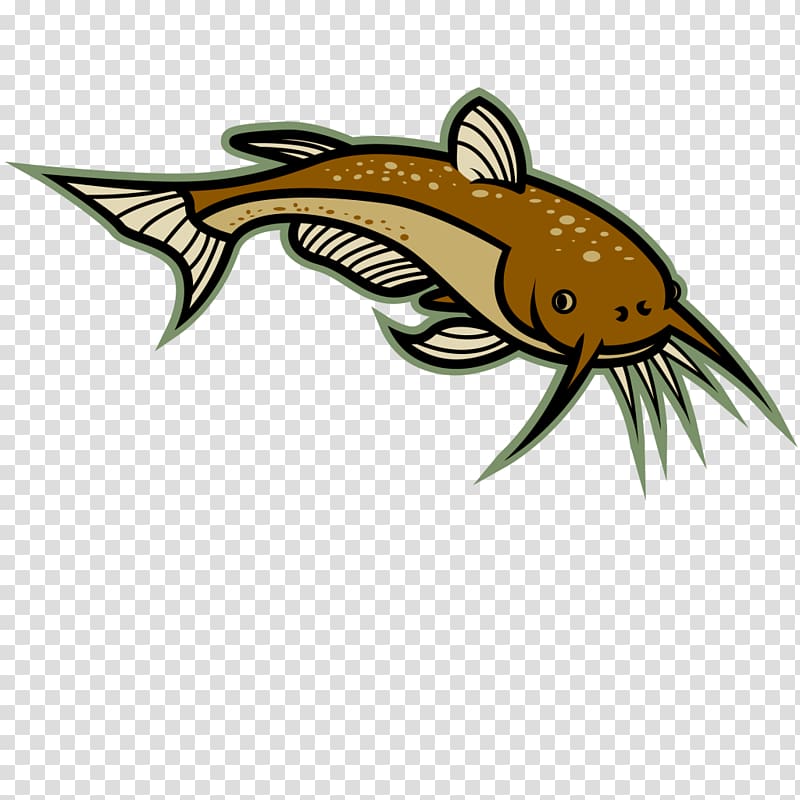 Catfish , Catfish transparent background PNG clipart