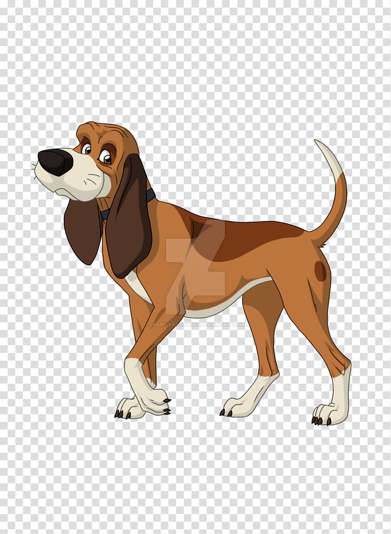 English Foxhound Harrier Treeing Walker Coonhound Beagle Black and Tan Coonhound, poster shading transparent background PNG clipart
