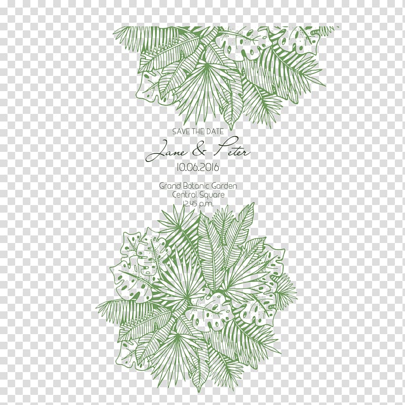 Leaf Euclidean Green, Green leaves, free to transparent background PNG clipart