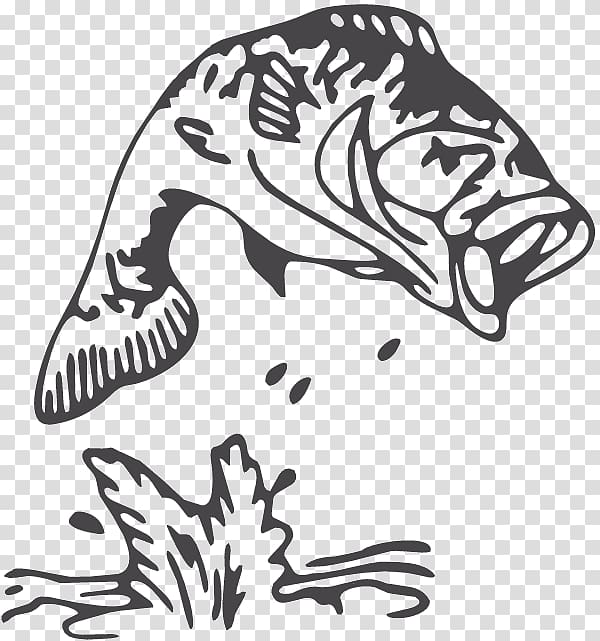 Largemouth bass Drawing , fish jumping out of bowl transparent background PNG clipart
