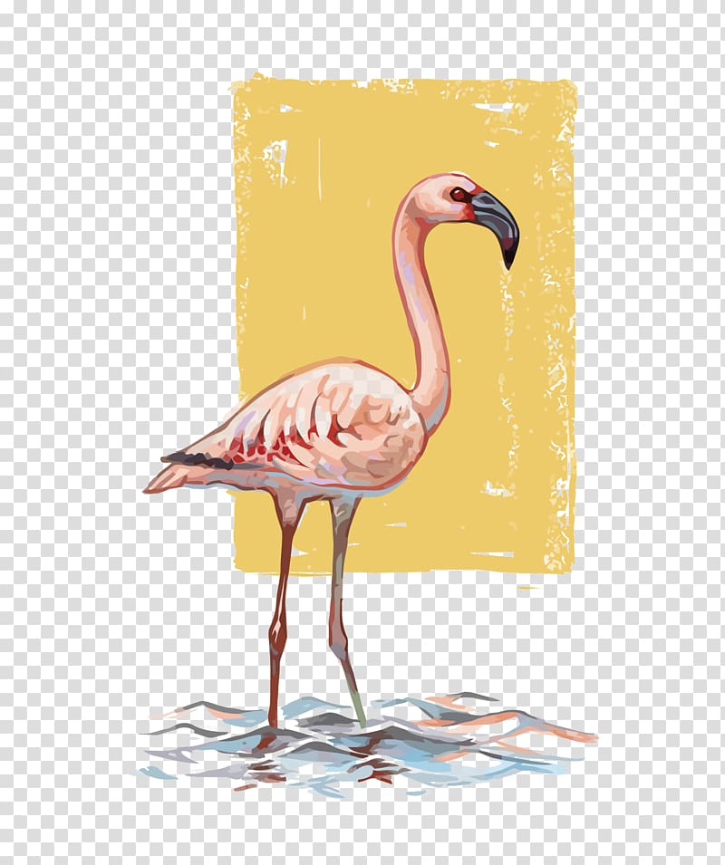 Flamingos Bird Drawing, flamingo transparent background PNG clipart